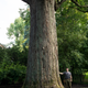 Brochure collector Brian Kelley is working on an ambitious photo archive of the largest tree species across the US.